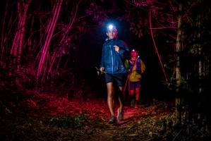 BIB: 
                            <button type="button" onclick="openModal(7016147)" class="btn btn-primary btn-sm float-right btn-popup" data-toggle="modal" data-target=".modal-high-quality">
                        <i class="fas fa-shopping-cart"></i> Add to Cart
                    </button>
                                            <button type="button" onclick="isThisMe(7016147, true)" class="btn btn-success btn-sm float-right btn-popup btn-isme hidden" data-toggle="tooltip" data-placement="bottom" title="นี่คือรูปของคุณใช่ไหม คลิกที่นี่เพื่อเอาเข้าอัลบั้ม">
                        <i class="fas fa-plus"></i> Add to album
                    </button>
                    <button type="button" onclick="isThisMe(7016147, false)" class="btn btn-warning btn-sm float-right btn-popup btn-isnotme hidden">
                        <i class="fas fa-ban"></i> Remove from album
                    </button>